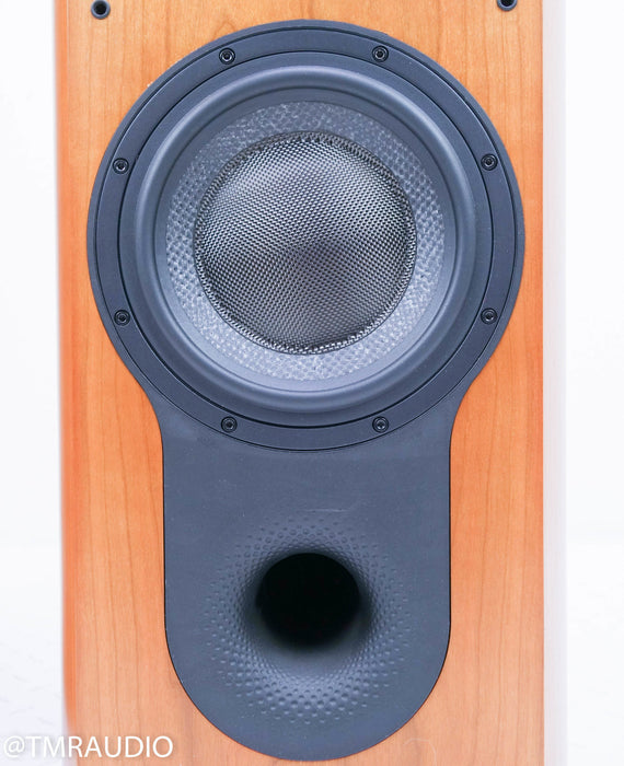 B&W 803D Floorstanding Speakers