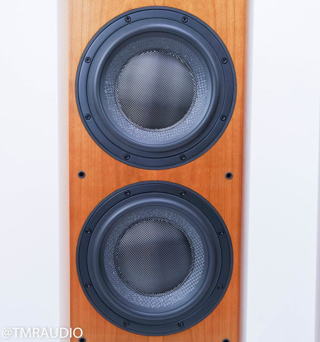 B&W 803D Floorstanding Speakers