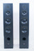 Dynaudio Audience 82 Floorstanding Speakers