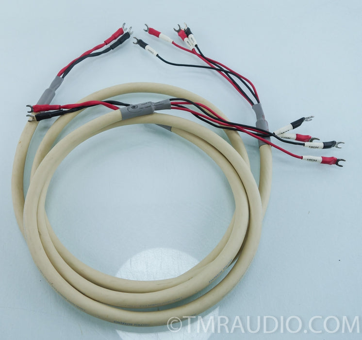 Cardas Neutral Reference Speaker Cables