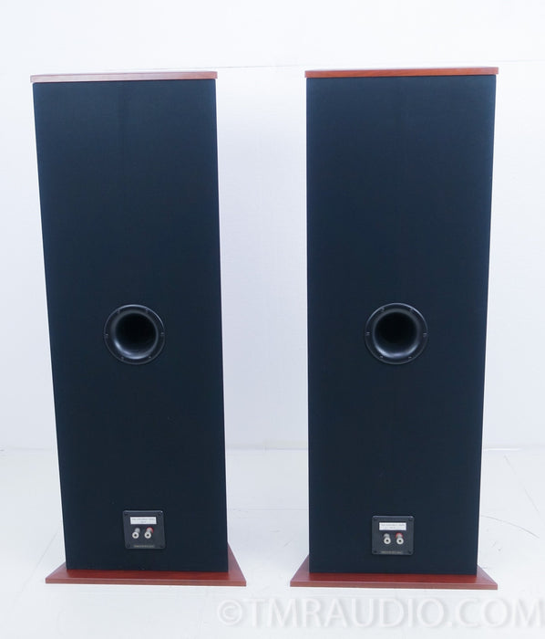 Von Schweikert VR-33 Floorstanding Speakers