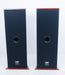 Von Schweikert VR-33 Floorstanding Speakers