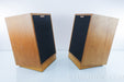 Klipsch Heresy II Vintage Speakers