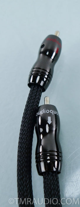 Audioquest Black Mamba RCA Cables