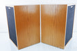 Klipsch Heresy Speakers