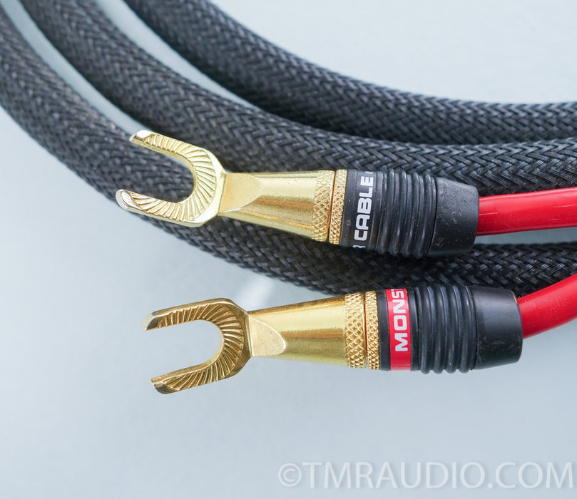 Monster Cable Z-series Speaker Cables