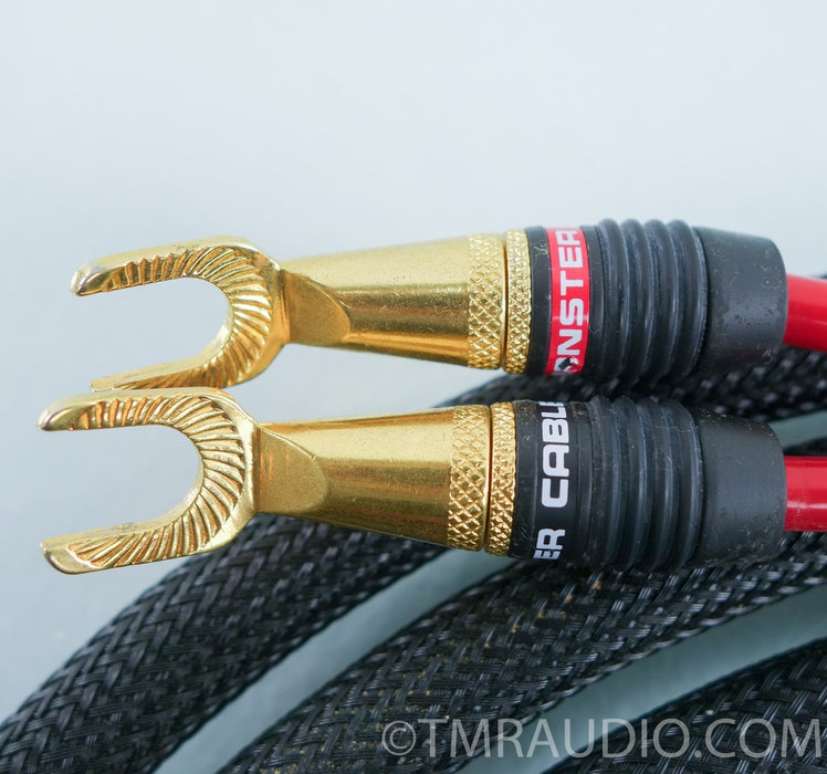 Monster Cable Z-series Speaker Cables