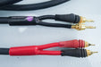 Monster Cables Z1R Speaker Cables