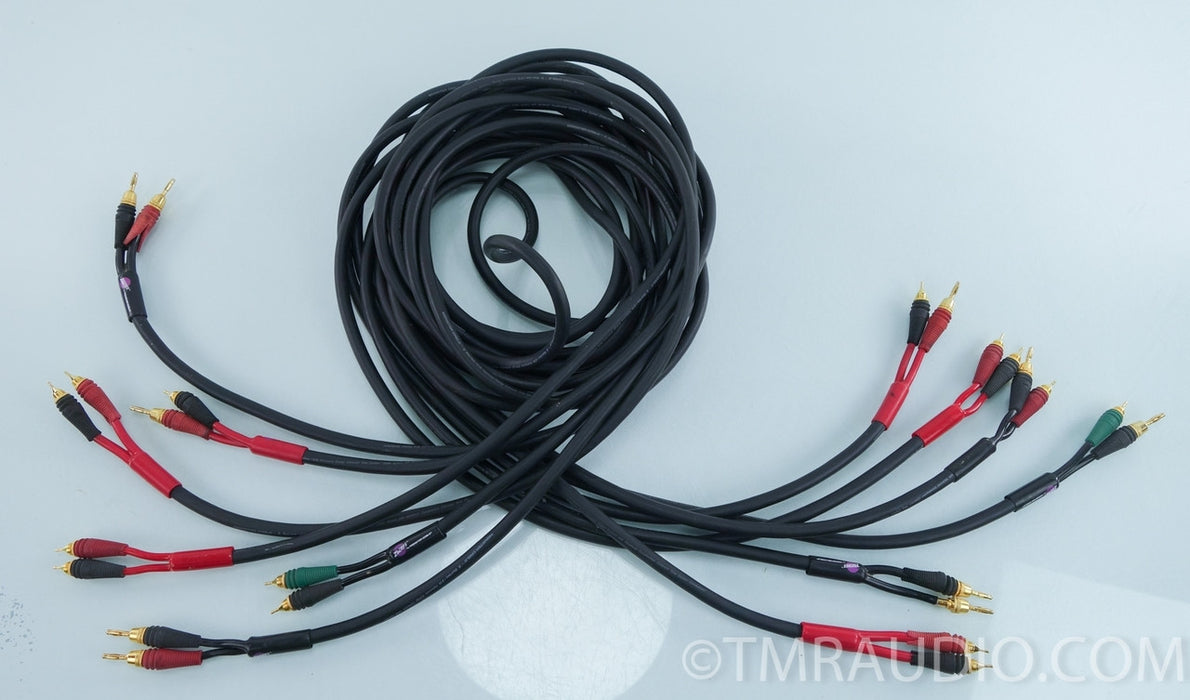 Monster Cables Z1R Speaker Cables