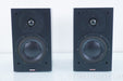 Dynaudio Audience 42 Speakers