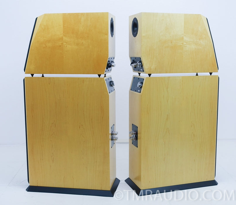 Von Schweikert VR-4jr Floorstanding Speakers