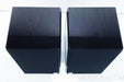 Reference 3A MM De Capo Speakers
