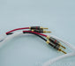 Blue Jeans Cable White Speaker Cables