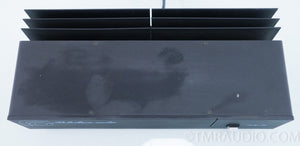 Robertson Audio Forty Ten Power Amplifier