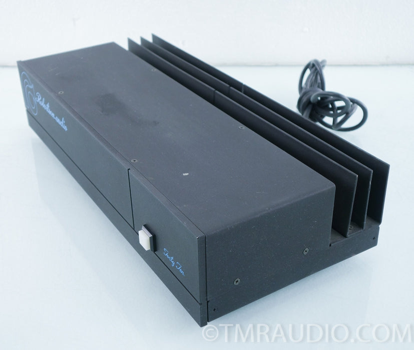 Robertson Audio Forty Ten Power Amplifier