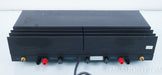 Robertson Audio Forty Ten Power Amplifier