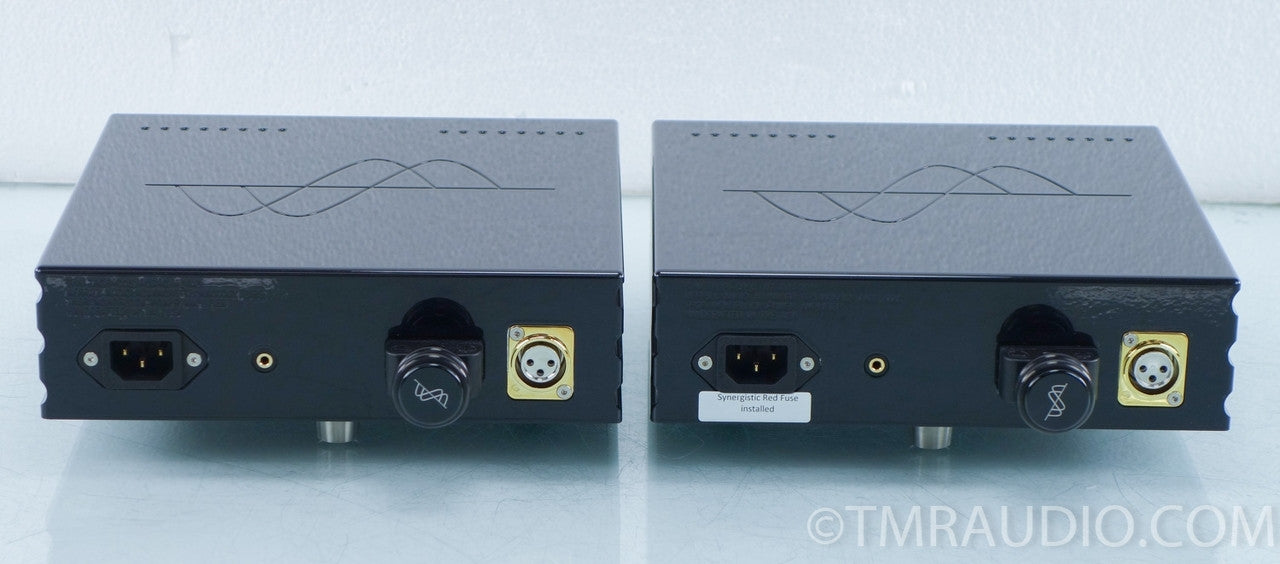 Merrill Audio Thor Monoblock Amplifier