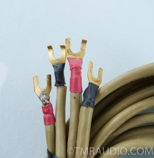 Mark Levinson Audio Systems Speaker Cables 10 C