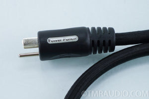PS Audio Power Punch Power Cable