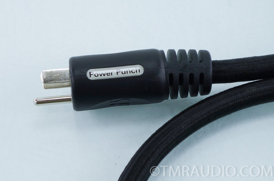 PS Audio Power Punch Power Cable