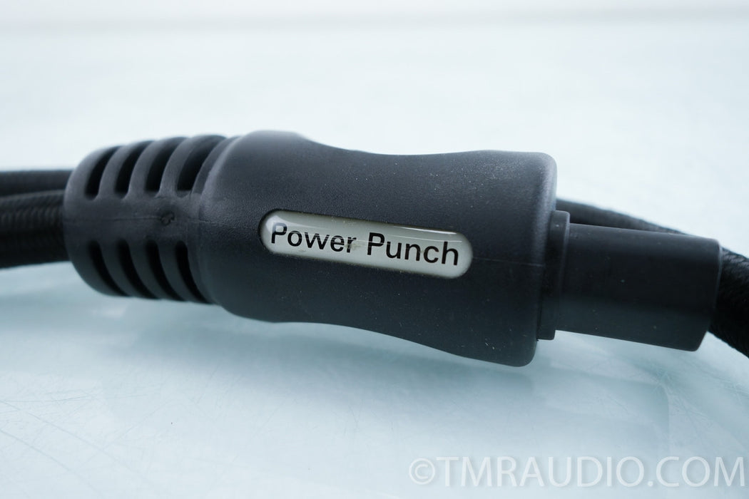 PS Audio Power Punch Power Cable