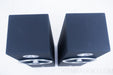 Zu Audio Soul Superfly Speakers