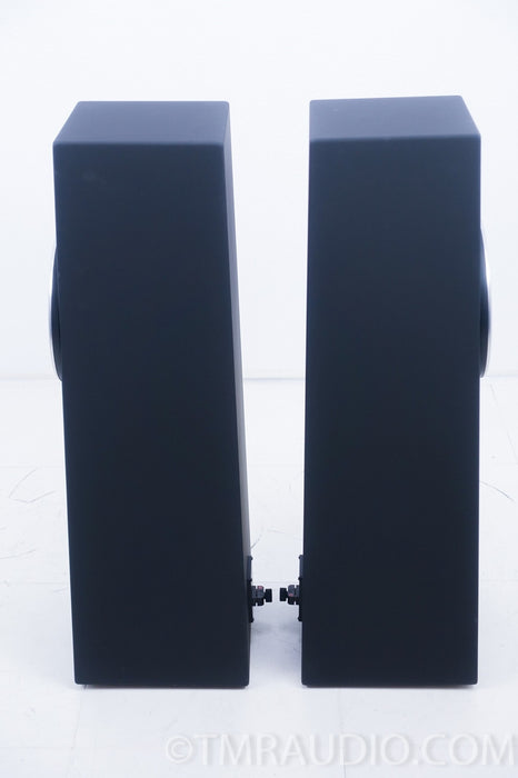 Zu Audio Soul Superfly Speakers