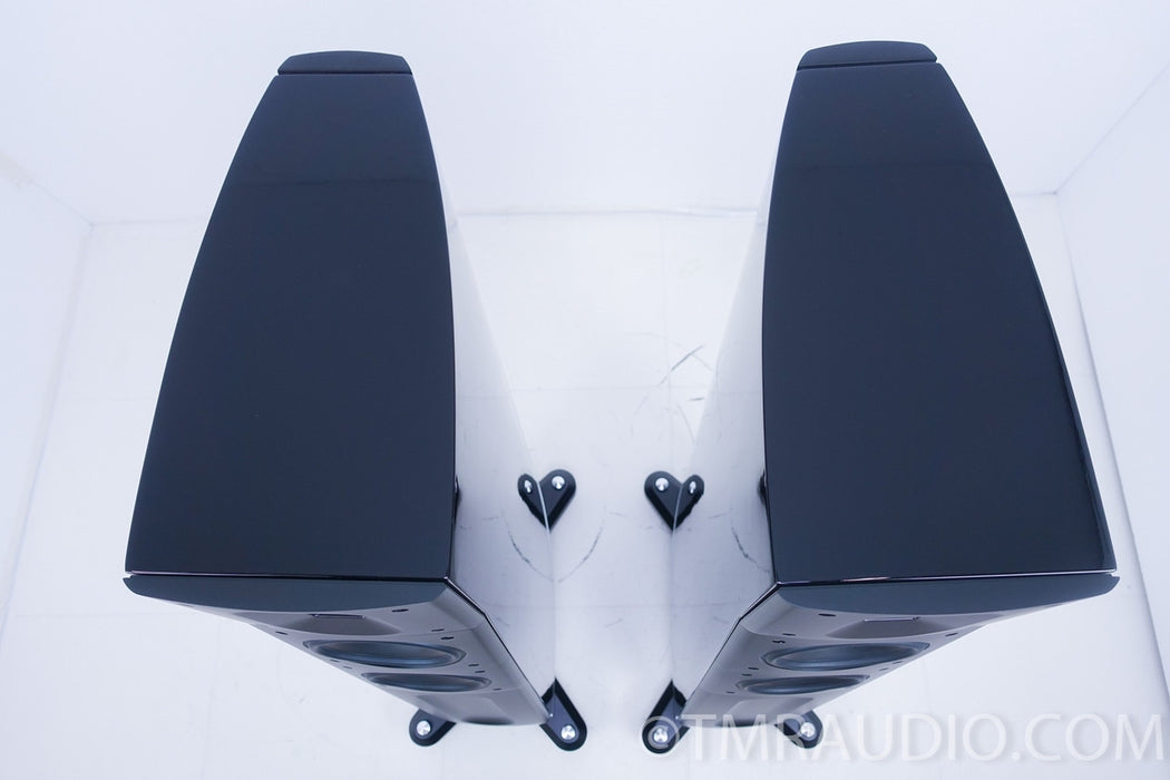 Raidho D2 Floorstanding Speakers