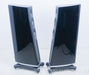 Raidho D2 Floorstanding Speakers