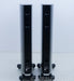 Raidho D2 Floorstanding Speakers