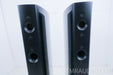 Raidho D2 Floorstanding Speakers