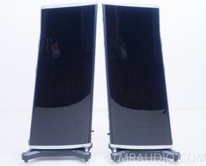 Raidho D2 Floorstanding Speakers