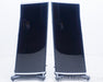 Raidho D2 Floorstanding Speakers
