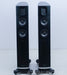 Raidho D2 Floorstanding Speakers