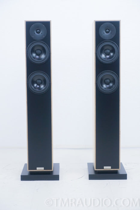 Penaudio Rebel Three 3 Floorstanding Speakers