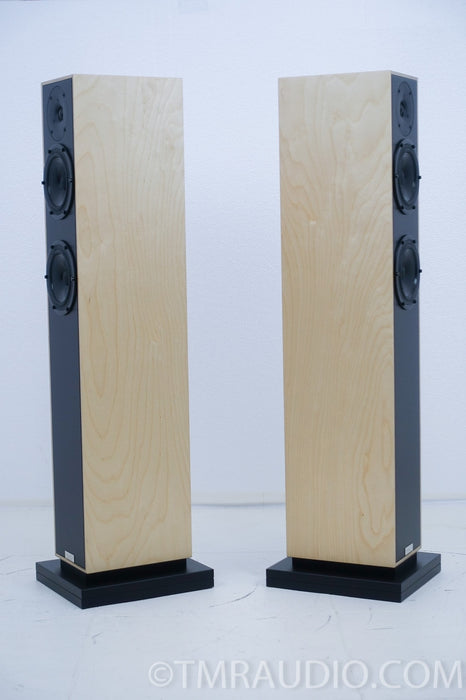 Penaudio Rebel Three 3 Floorstanding Speakers