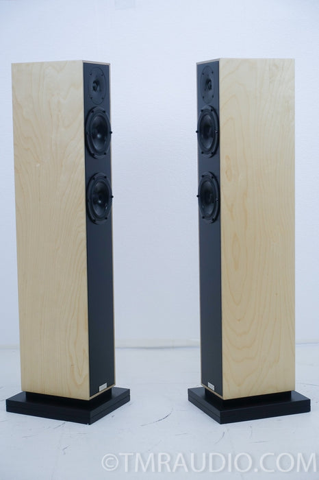 Penaudio Rebel Three 3 Floorstanding Speakers