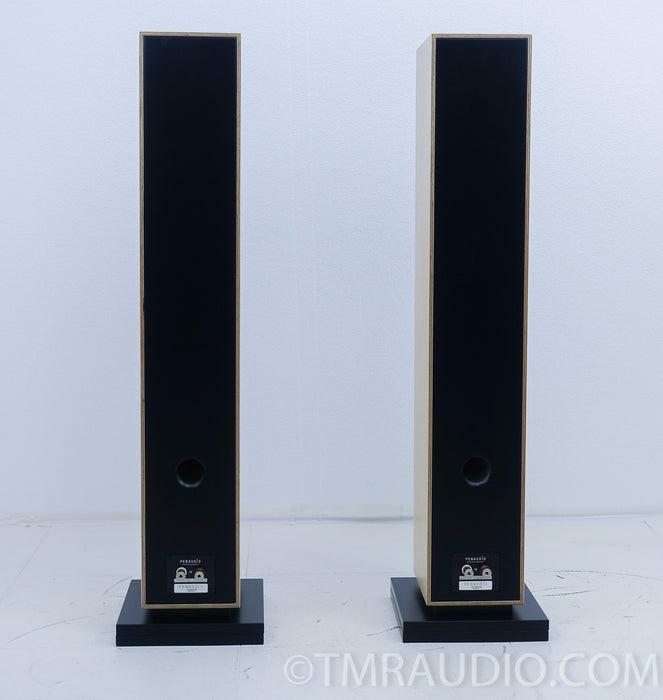 Penaudio Rebel Three 3 Floorstanding Speakers
