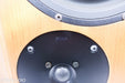 DeVore Fidelity Gibbon Super 8 Floorstanding Speakers