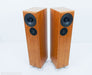 DeVore Fidelity Gibbon Super 8 Floorstanding Speakers