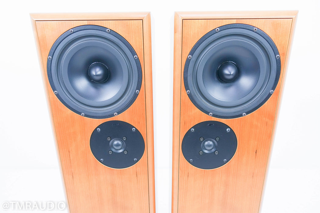 DeVore Fidelity Gibbon Super 8 Floorstanding Speakers