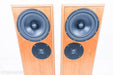 DeVore Fidelity Gibbon Super 8 Floorstanding Speakers
