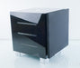REL R-528 SE Powered Subwoofer (Special Edition Model)