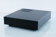 Cary Audio DAC-100 DAC