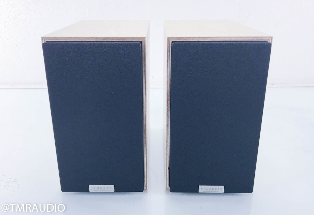 Penaudio Rebel Two Bookshelf Speakers II