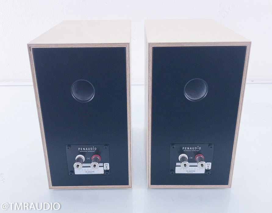 Penaudio Rebel Two Bookshelf Speakers II
