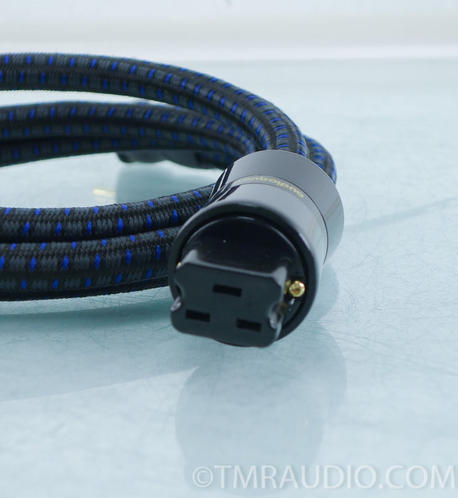Custom Audioquest NRG-4 20 Amp Power Cable