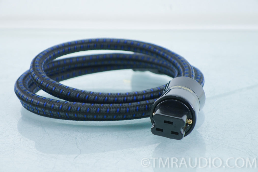 Custom Audioquest NRG-4 20 Amp Power Cable