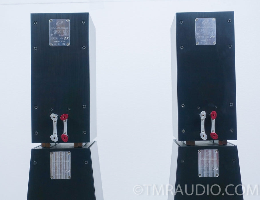 YG Acoustics Kipod II Signature Passive Speakers