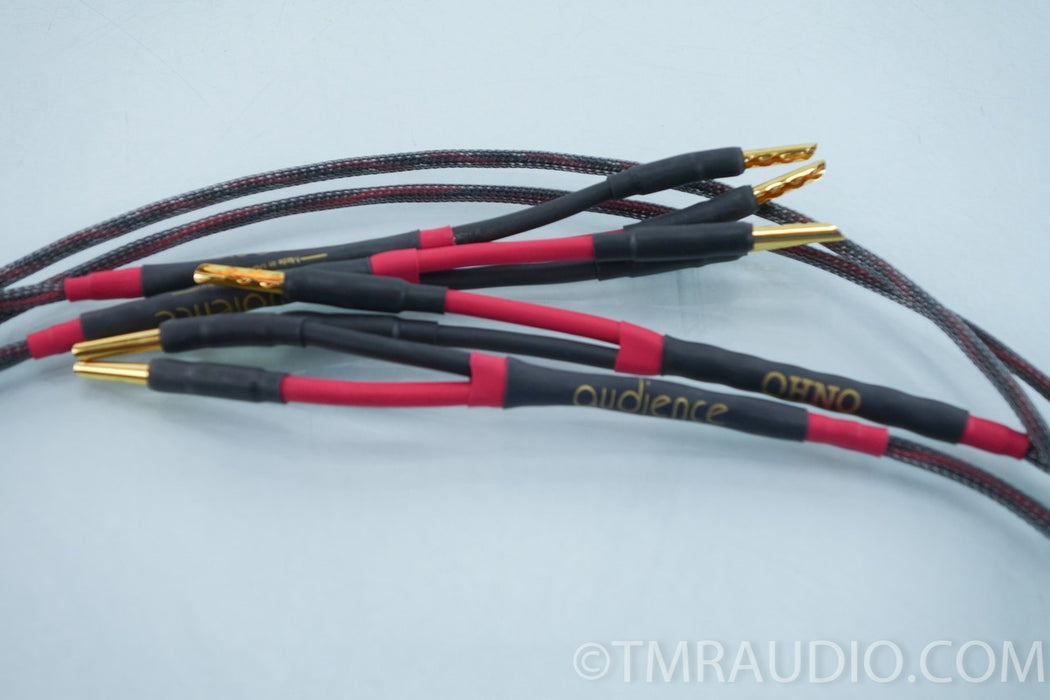 Audience Ohno Speaker Cables